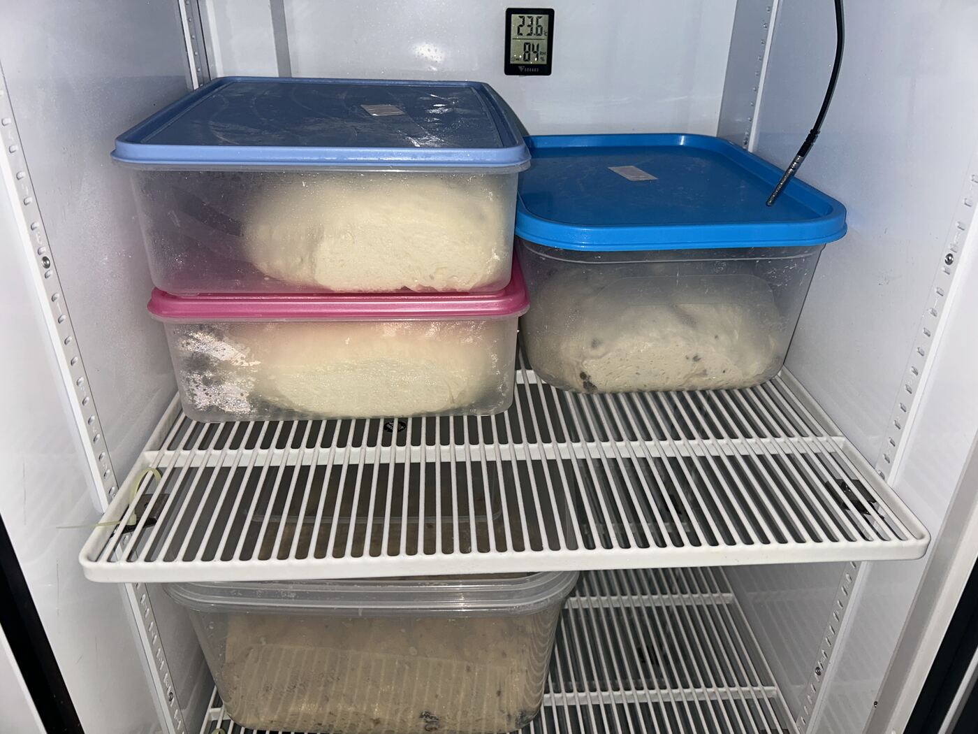 Dough proofing in covered boxes on temperature-controlled shelving