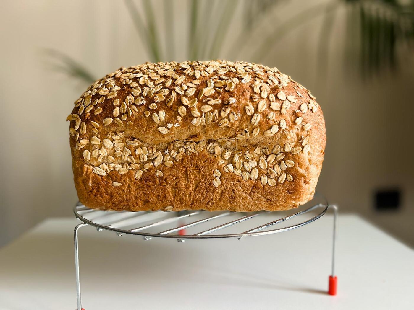 Honey & Oat Loaf