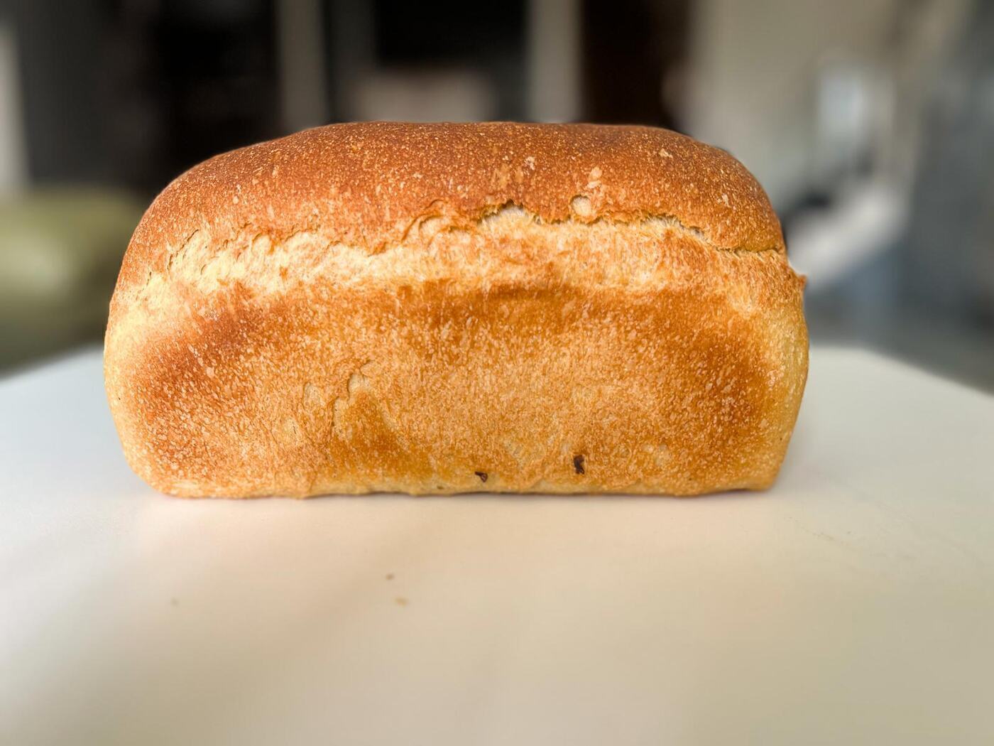 Whole Wheat Bread 50%