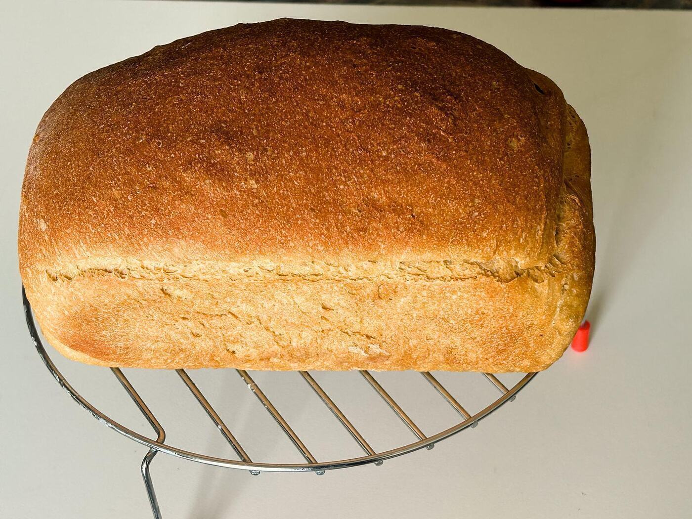 Whole Wheat Bread 80%
